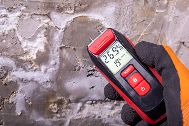 Best Office Mold Removal Services  in Lliams Bay, WI