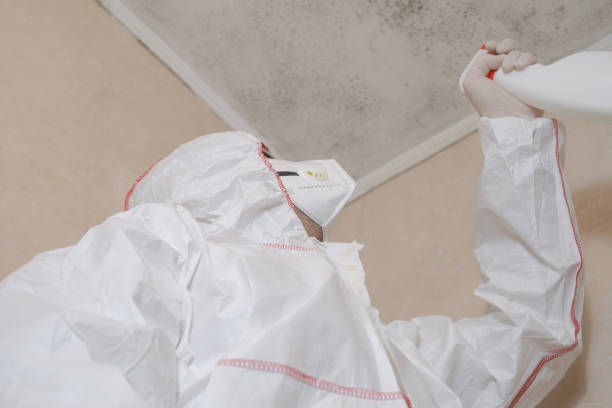 Best Mold Cleaning Services  in Lliams Bay, WI