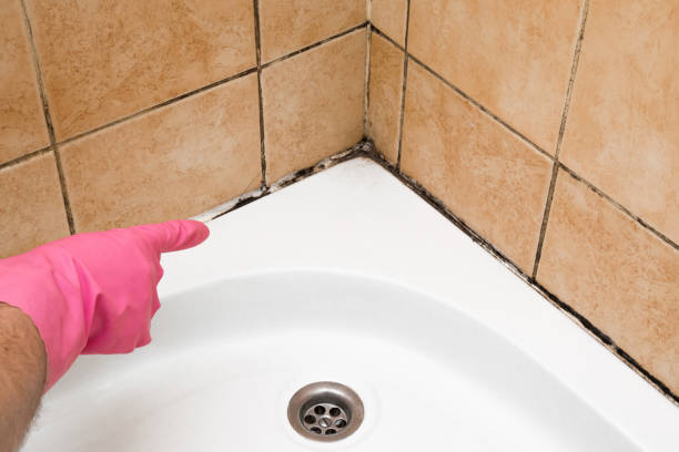 Best Emergency Mold Removal  in Lliams Bay, WI